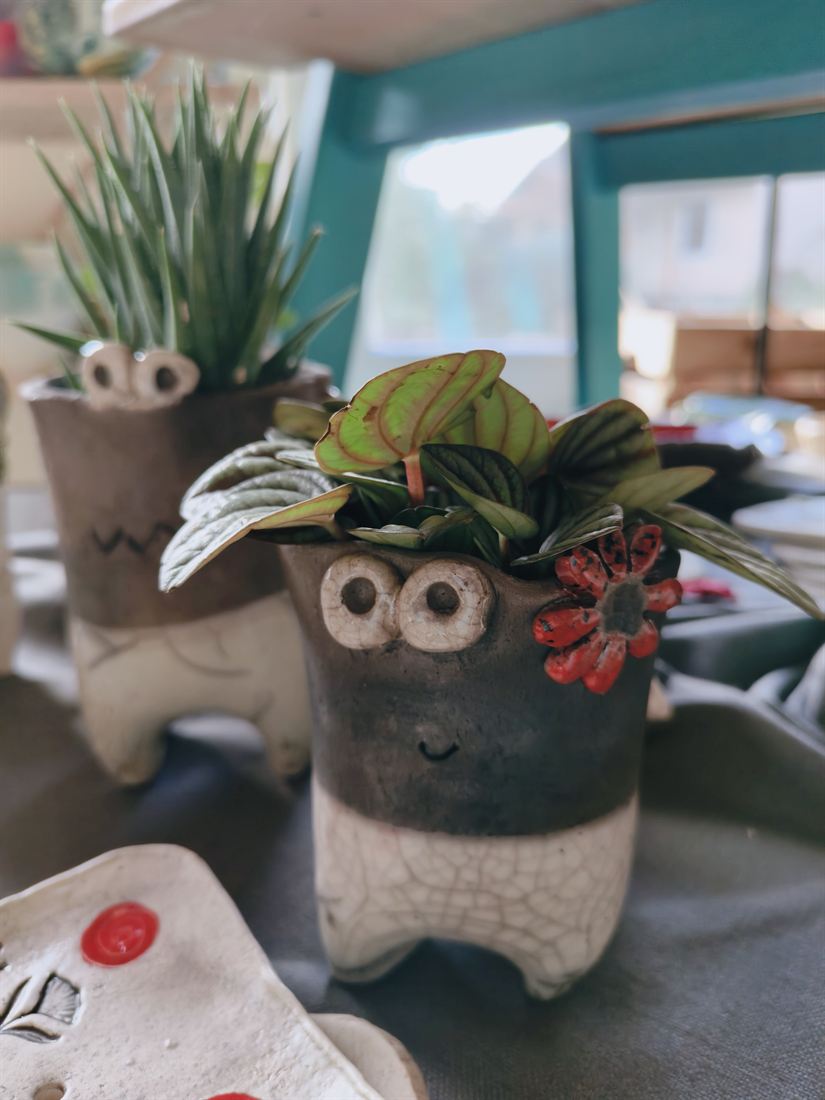 Dunkler Raku-Pflanztopf mit Krakelee-Glasur, großen Augen und roter Blüte